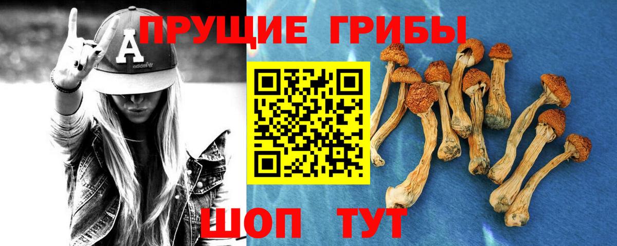 Псилоцибиновые грибы MAGIC MUSHROOMS  Псилоцибиновые грибы Cubensis  Сухой Лог  Вход с VPN 